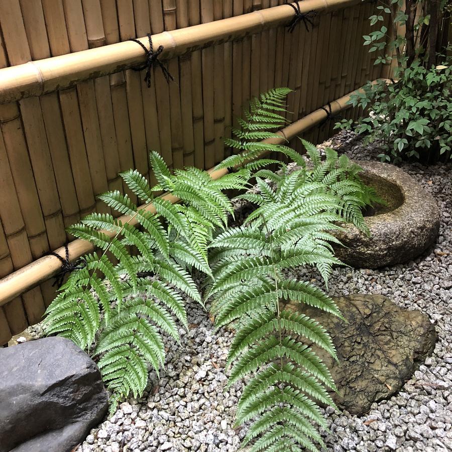 Naokonoza Omiya Gojo Villa Kyoto Bagian luar foto