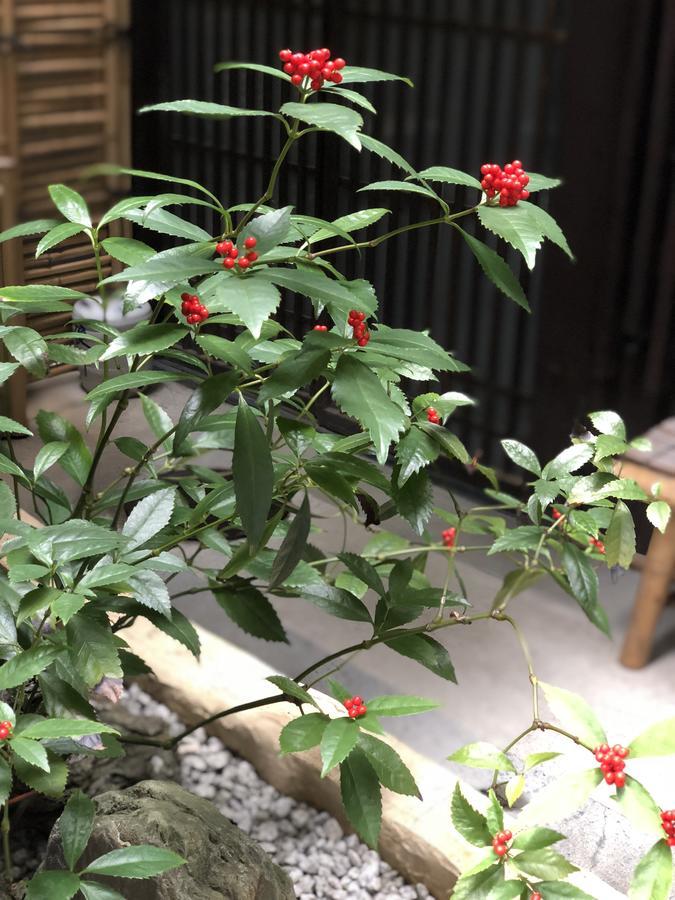 Naokonoza Omiya Gojo Villa Kyoto Bagian luar foto
